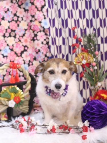 20250121こはるちゃん